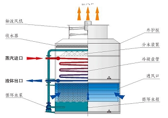 1552098078603884.jpg 1.jpg